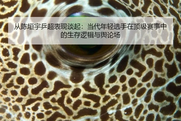 从陈垣宇乒超表现谈起：当代年轻选手在顶级赛事中的生存逻辑与舆论场